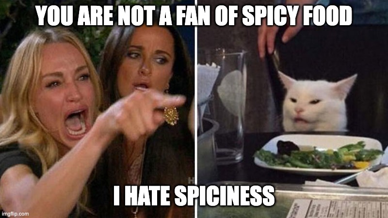 Woman yelling at white cat | YOU ARE NOT A FAN OF SPICY FOOD; I HATE SPICINESS | image tagged in woman yelling at white cat | made w/ Imgflip meme maker