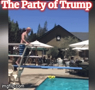 8igbqd.gif