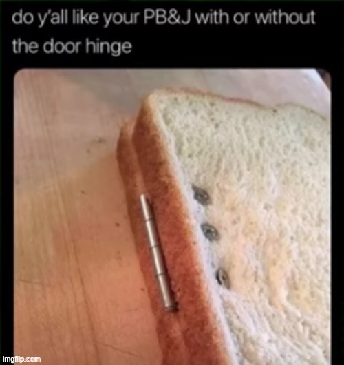 do y'all like your PB&J with or without the door hinge | image tagged in peanut butter,jelly | made w/ Imgflip meme maker