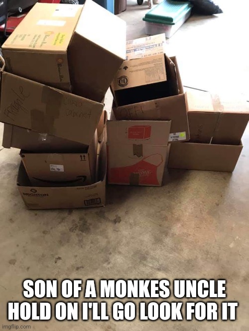 When another user asks for a comment link from weeks ago | SON OF A MONKES UNCLE
HOLD ON I'LL GO LOOK FOR IT | image tagged in empty boxes | made w/ Imgflip meme maker