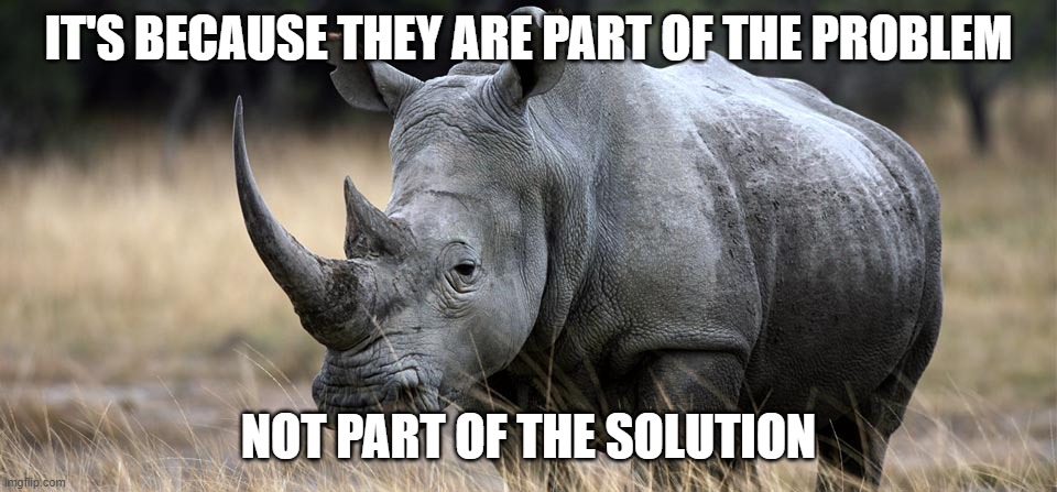rhino | IT'S BECAUSE THEY ARE PART OF THE PROBLEM NOT PART OF THE SOLUTION | image tagged in rhino | made w/ Imgflip meme maker