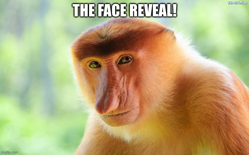 Janusz Monkey | THE FACE REVEAL! | image tagged in janusz monkey | made w/ Imgflip meme maker