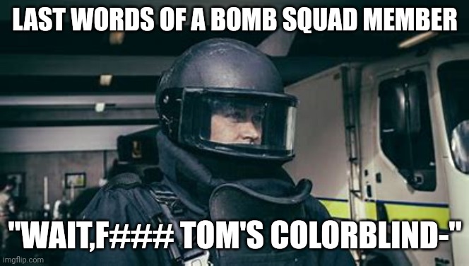 Bam | LAST WORDS OF A BOMB SQUAD MEMBER; "WAIT,F### TOM'S COLORBLIND-" | image tagged in bomb,kapowey,bye | made w/ Imgflip meme maker