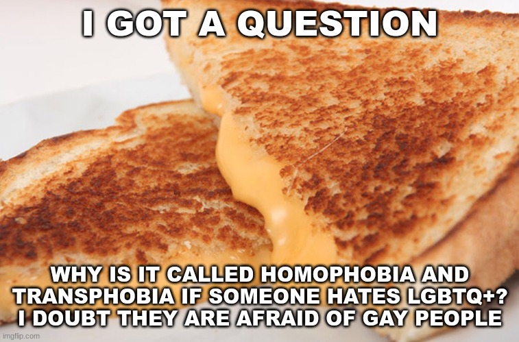 just a question i had | I GOT A QUESTION; WHY IS IT CALLED HOMOPHOBIA AND TRANSPHOBIA IF SOMEONE HATES LGBTQ+? I DOUBT THEY ARE AFRAID OF GAY PEOPLE | image tagged in grilled cheese | made w/ Imgflip meme maker