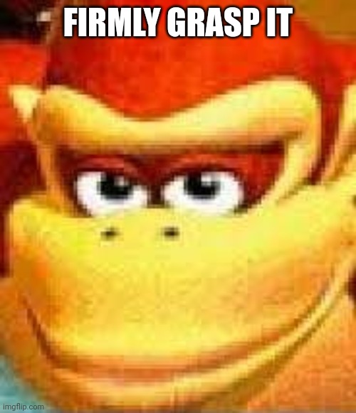 expand dong | FIRMLY GRASP IT | image tagged in expand dong | made w/ Imgflip meme maker