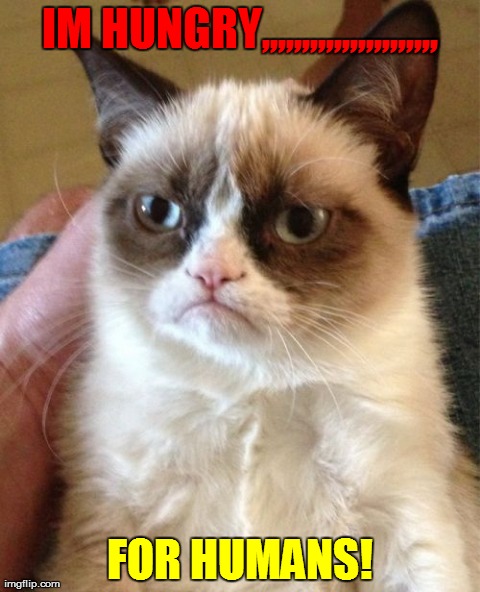 Grumpy Cat Meme | IM HUNGRY,,,,,,,,,,,,,,,,,,,,,, FOR HUMANS! | image tagged in memes,grumpy cat | made w/ Imgflip meme maker