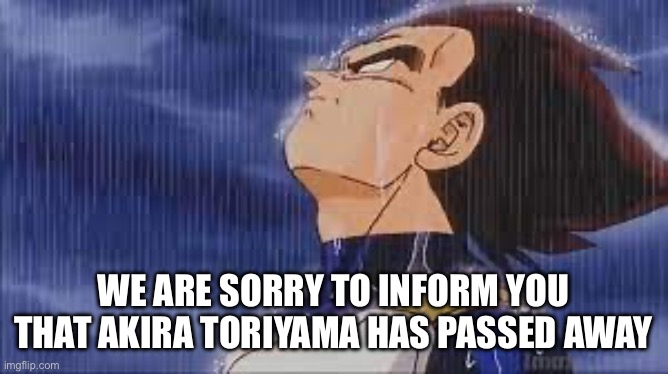 The manga writer for Dragon Ball has passed away | WE ARE SORRY TO INFORM YOU THAT AKIRA TORIYAMA HAS PASSED AWAY | image tagged in sad vegeta | made w/ Imgflip meme maker