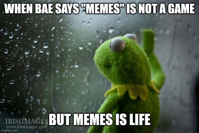 kermit window | WHEN BAE SAYS "MEMES" IS NOT A GAME; BUT MEMES IS LIFE | image tagged in kermit window | made w/ Imgflip meme maker