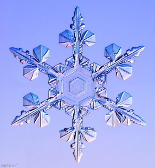 Special snowflake | image tagged in special snowflake | made w/ Imgflip meme maker