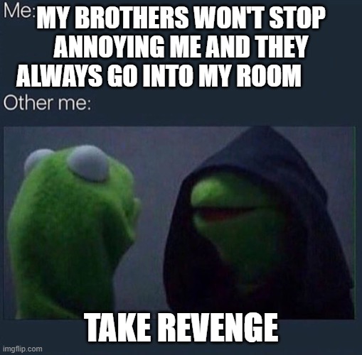 Evil Kermit | MY BROTHERS WON'T STOP ANNOYING ME AND THEY ALWAYS GO INTO MY ROOM; TAKE REVENGE | image tagged in evil kermit | made w/ Imgflip meme maker