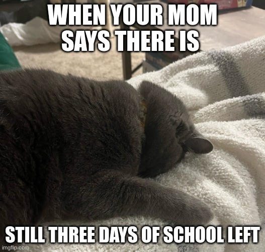Miserable cat | WHEN YOUR MOM SAYS THERE IS; STILL THREE DAYS OF SCHOOL LEFT | image tagged in depressed cat | made w/ Imgflip meme maker