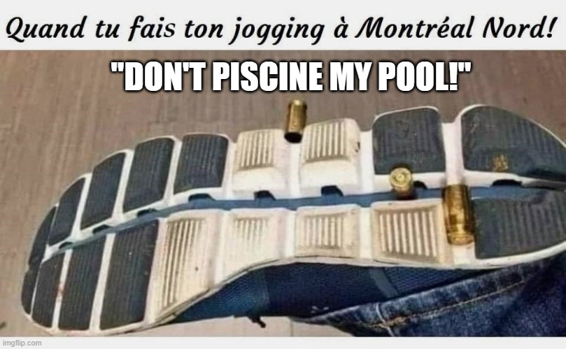 Don't Piscine My Pool | "DON'T PISCINE MY POOL!" | image tagged in humor,lost in translation | made w/ Imgflip meme maker