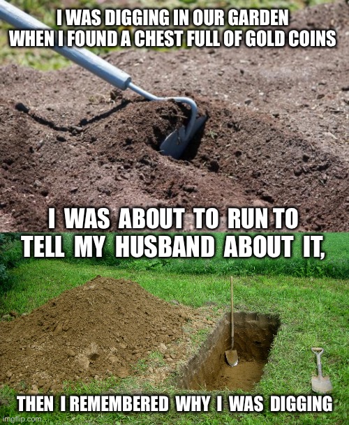 Gold Coins | I WAS DIGGING IN OUR GARDEN WHEN I FOUND A CHEST FULL OF GOLD COINS; I  WAS  ABOUT  TO  RUN TO; TELL  MY  HUSBAND  ABOUT  IT, THEN  I REMEMBERED  WHY  I  WAS  DIGGING | image tagged in garden hoe,digging grave,dark humor,death,husband,gold | made w/ Imgflip meme maker