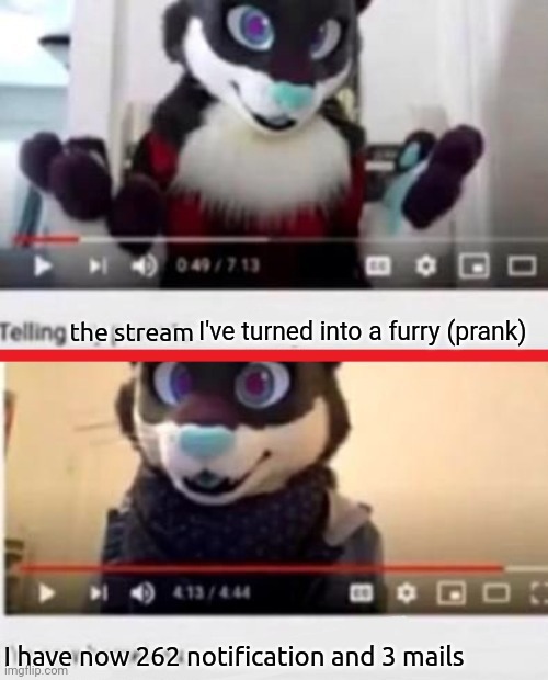 Meme I thought at 6am (I am legally obligated to say prank elseway someone is going to think that I'm serious) | the stream; I've turned into a furry (prank); I have now 262 notification and 3 mails | image tagged in i'm now homeless | made w/ Imgflip meme maker