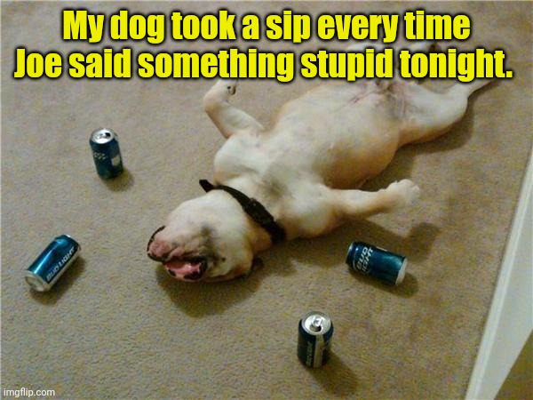 drunk dog | My dog took a sip every time Joe said something stupid tonight. | image tagged in drunk dog | made w/ Imgflip meme maker