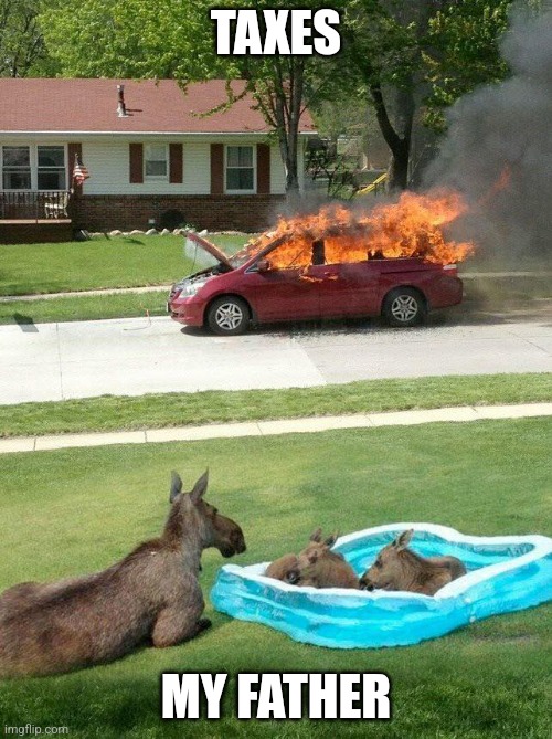 Moose watching car fire | TAXES; MY FATHER | image tagged in moose watching car fire | made w/ Imgflip meme maker