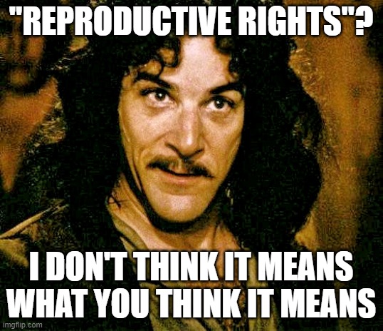 I don't think it means what you think it means | "REPRODUCTIVE RIGHTS"? I DON'T THINK IT MEANS WHAT YOU THINK IT MEANS | image tagged in i don't think it means what you think it means | made w/ Imgflip meme maker