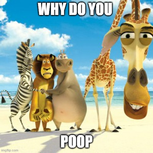 Why do you poop | WHY DO YOU; POOP | image tagged in why are you white | made w/ Imgflip meme maker