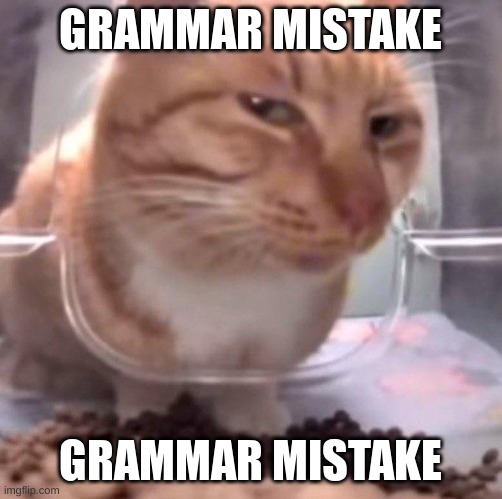 GRAMMAR MISTAKE GRAMMAR MISTAKE | made w/ Imgflip meme maker