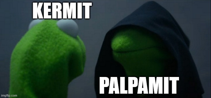 Evil Kermit | KERMIT; PALPAMIT | image tagged in memes,evil kermit | made w/ Imgflip meme maker