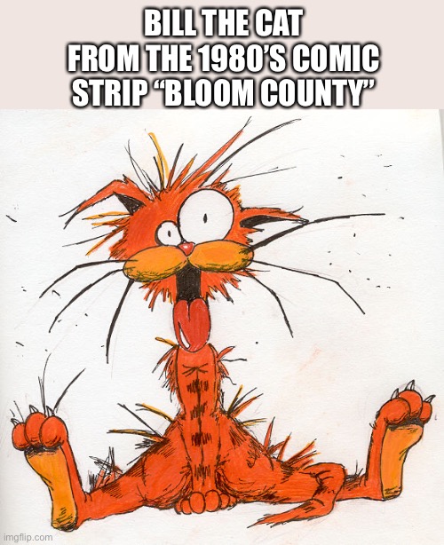 Bill the Cat | BILL THE CAT
FROM THE 1980’S COMIC STRIP “BLOOM COUNTY” | image tagged in bill the cat | made w/ Imgflip meme maker