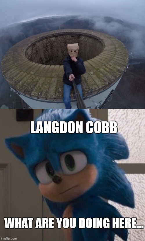 Sonic meet baghead climber | LANGDON COBB; WHAT ARE YOU DOING HERE... | image tagged in langdon cobb,lattice climbing,baghead,sonic,meme,sonic the hedgehog | made w/ Imgflip meme maker