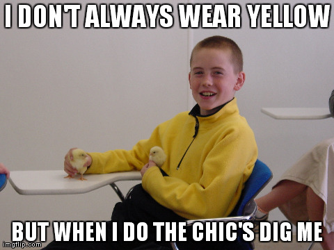 I DON'T ALWAYS WEAR YELLOW BUT WHEN I DO THE CHIC'S DIG ME | made w/ Imgflip meme maker