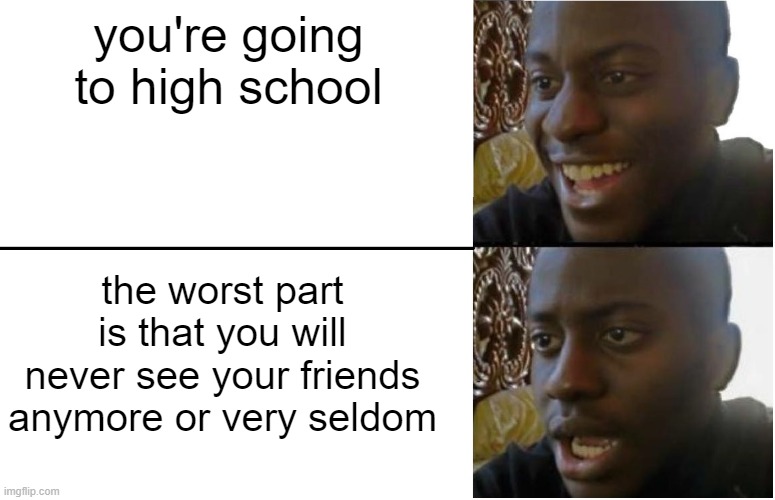 we hope we don't had to experince this one | you're going to high school; the worst part is that you will never see your friends anymore or very seldom | image tagged in disappointed black guy | made w/ Imgflip meme maker