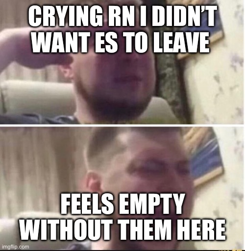 Crying salute | CRYING RN I DIDN’T WANT ES TO LEAVE; FEELS EMPTY WITHOUT THEM HERE | image tagged in crying salute | made w/ Imgflip meme maker