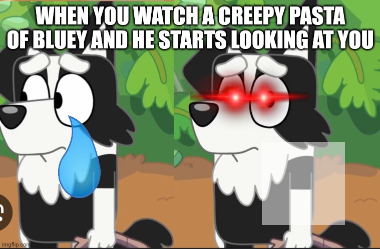 Chuckle I'm in danger | WHEN YOU WATCH A CREEPY PASTA OF BLUEY AND HE STARTS LOOKING AT YOU | image tagged in mackenzie looking at the camera | made w/ Imgflip meme maker