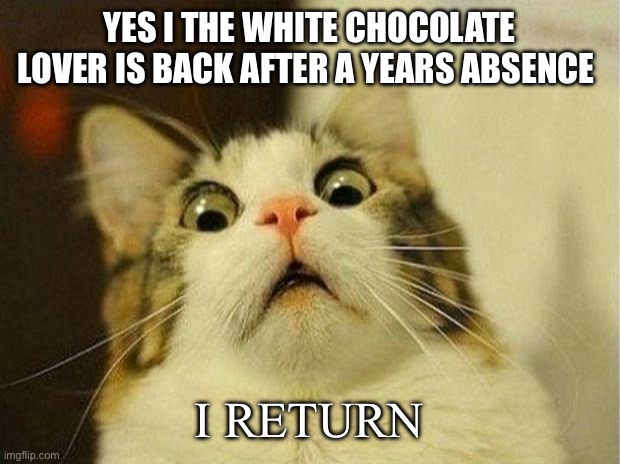 Scared Cat Meme | YES I THE WHITE CHOCOLATE LOVER IS BACK AFTER A YEARS ABSENCE; I RETURN | image tagged in memes,scared cat | made w/ Imgflip meme maker