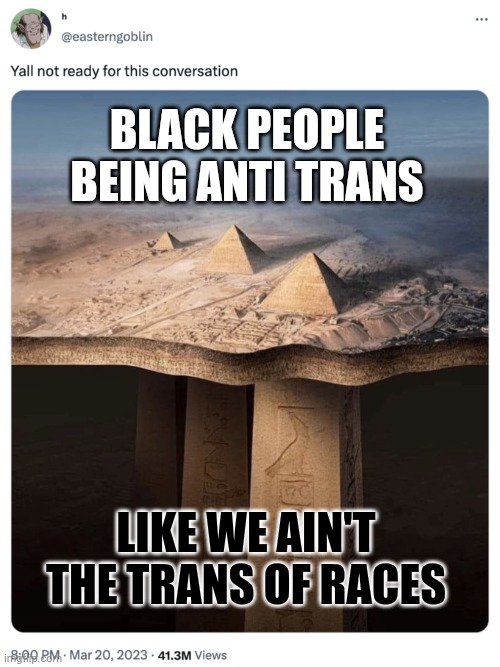 Far more in common with them than the hwyt evangelicals who hate us & only use us against the lgbt | BLACK PEOPLE BEING ANTI TRANS; LIKE WE AIN'T THE TRANS OF RACES | image tagged in funny,facts,humor | made w/ Imgflip meme maker