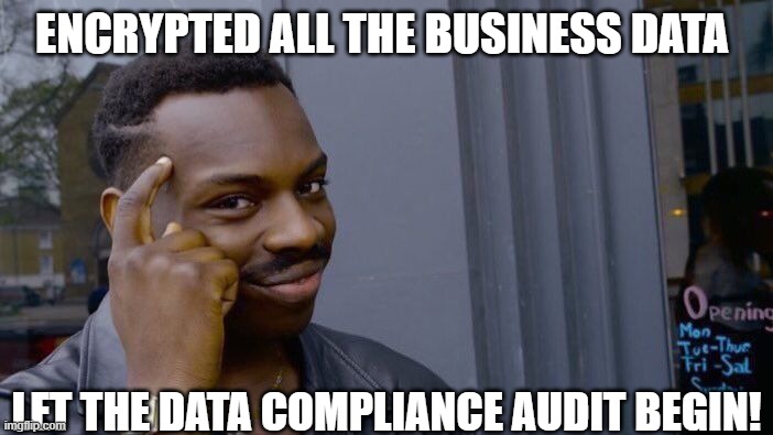 Roll Safe Think About It Meme | ENCRYPTED ALL THE BUSINESS DATA; LET THE DATA COMPLIANCE AUDIT BEGIN! | image tagged in memes,roll safe think about it | made w/ Imgflip meme maker