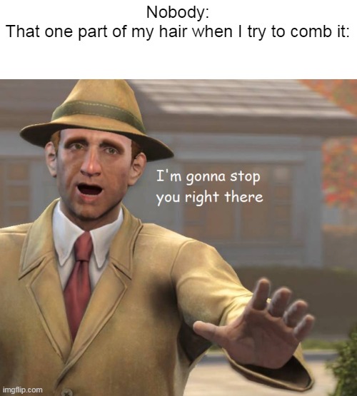 its so annoying | Nobody:
That one part of my hair when I try to comb it: | image tagged in im gonna stop you right there,relatable | made w/ Imgflip meme maker