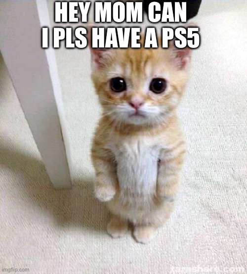 Cute Cat Meme | HEY MOM CAN I PLS HAVE A PS5 | image tagged in memes,cute cat,game of thrones | made w/ Imgflip meme maker