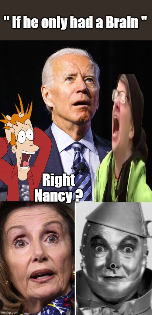 OZ, who's the man behind the curtain ? | " If he only had a Brain "; Right Nancy ? | image tagged in joe biden,democrats,nwo,traitors | made w/ Imgflip meme maker