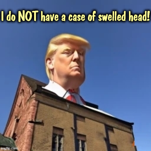 I do NOT have a case of swelled head! | image tagged in trump,swelled head,ego,selfishness,narcissist,malignant narcissist | made w/ Imgflip meme maker