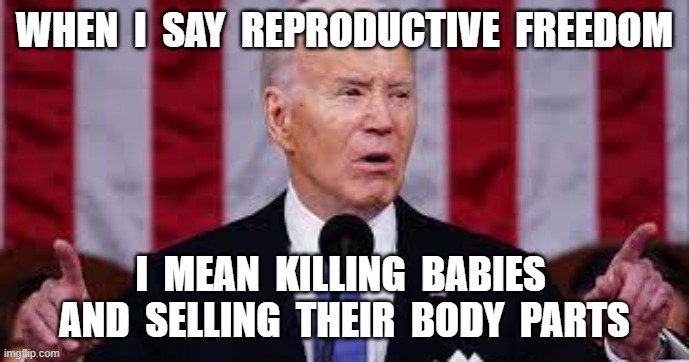 WHEN  I  SAY  REPRODUCTIVE  FREEDOM; I  MEAN  KILLING  BABIES  AND  SELLING  THEIR  BODY  PARTS | image tagged in joe biden,creepy joe biden,abortion,reproductive freedom,state of the union | made w/ Imgflip meme maker