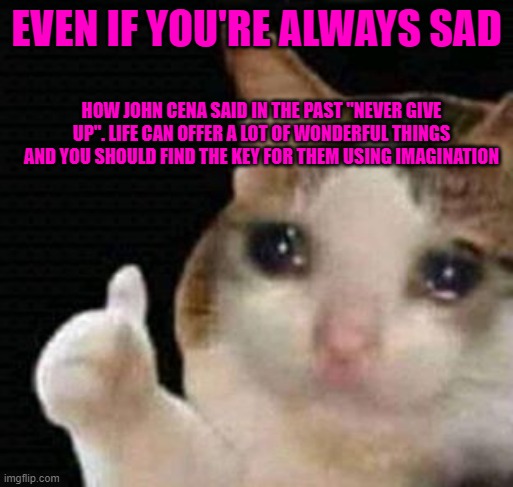 sad thumbs up cat | EVEN IF YOU'RE ALWAYS SAD; HOW JOHN CENA SAID IN THE PAST "NEVER GIVE UP". LIFE CAN OFFER A LOT OF WONDERFUL THINGS AND YOU SHOULD FIND THE KEY FOR THEM USING IMAGINATION | image tagged in sad thumbs up cat | made w/ Imgflip meme maker