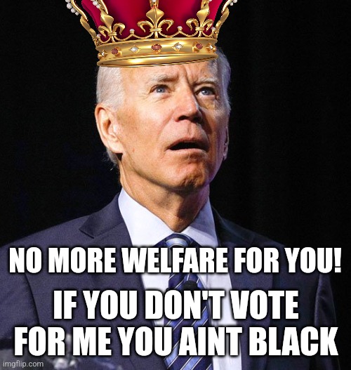 Joe Biden | NO MORE WELFARE FOR YOU! IF YOU DON'T VOTE FOR ME YOU AINT BLACK | image tagged in joe biden | made w/ Imgflip meme maker