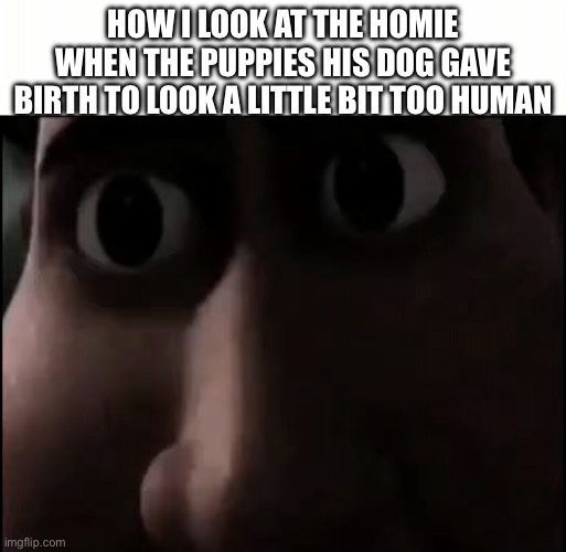 Titan Staring | HOW I LOOK AT THE HOMIE WHEN THE PUPPIES HIS DOG GAVE BIRTH TO LOOK A LITTLE BIT TOO HUMAN | image tagged in titan staring | made w/ Imgflip meme maker