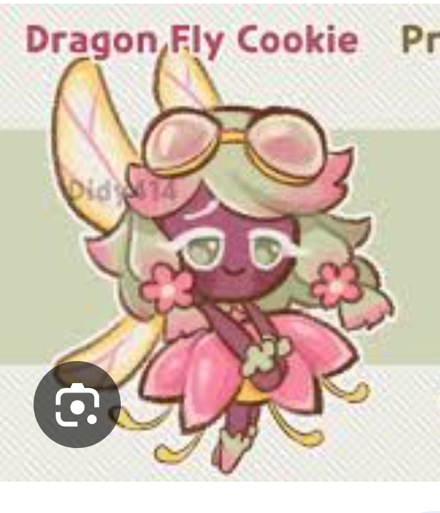 High Quality Dragon Fly Cookie Fanchild Blank Meme Template