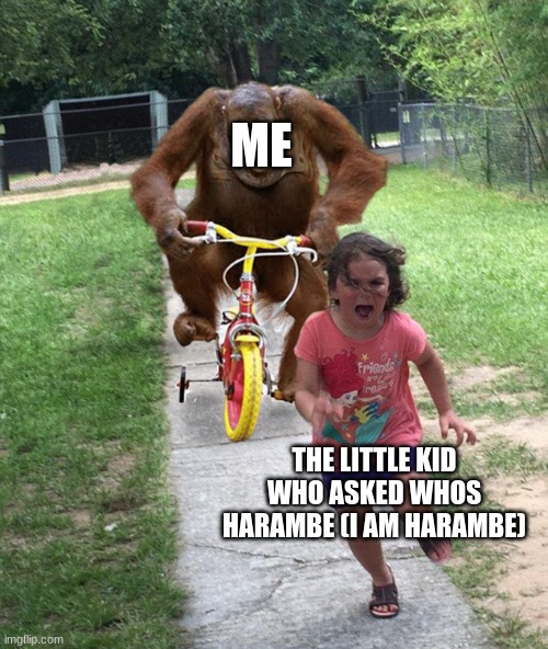 HARAMBE | ME; THE LITTLE KID WHO ASKED WHOS HARAMBE (I AM HARAMBE) | image tagged in orangutan chasing girl on a tricycle | made w/ Imgflip meme maker