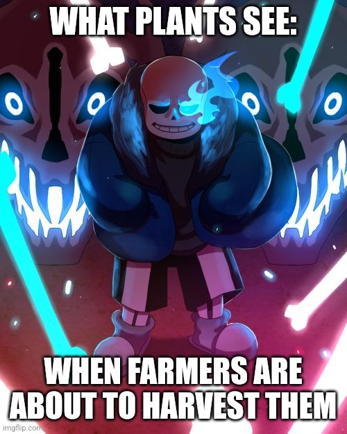 Plants must be terrified of farmers | WHAT PLANTS SEE:; WHEN FARMERS ARE ABOUT TO HARVEST THEM | image tagged in sans undertale,jpfan102504 | made w/ Imgflip meme maker