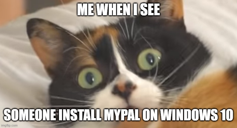 i know who would do this, CollabVM users. | ME WHEN I SEE; SOMEONE INSTALL MYPAL ON WINDOWS 10 | image tagged in me when i see,mypal,windowsxp | made w/ Imgflip meme maker