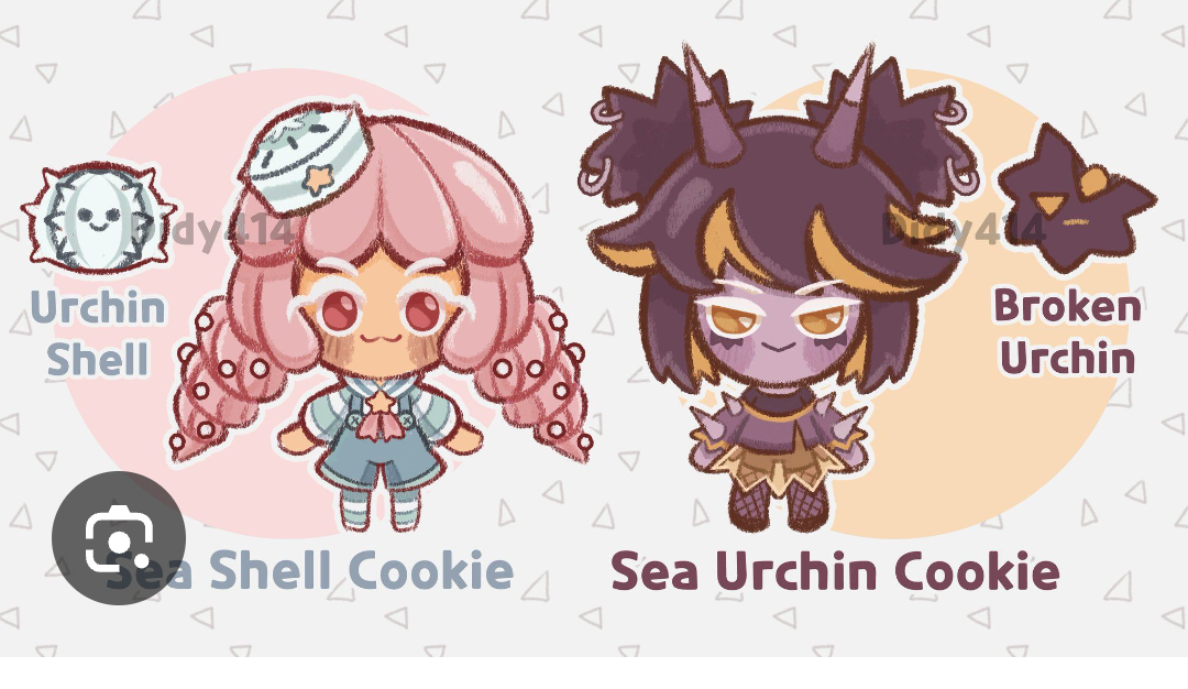 Sea Shell And Sea Urchin Cookies Fanchild Blank Meme Template