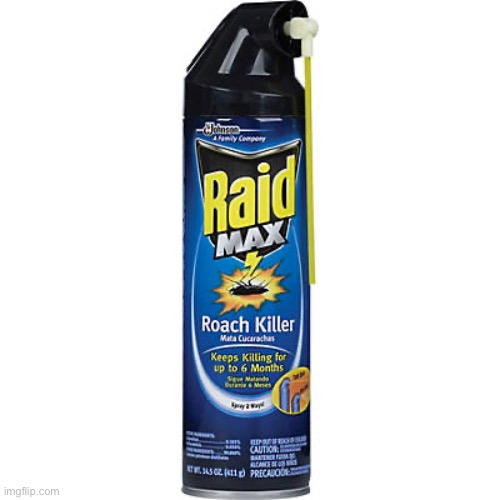 Raid Max Roach Killer | image tagged in raid max roach killer | made w/ Imgflip meme maker