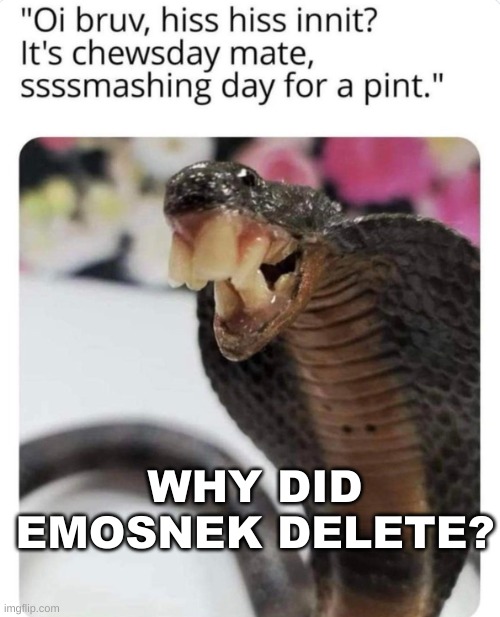 Bri'ish SnAYKE | WHY DID EMOSNEK DELETE? | image tagged in bri'ish snayke | made w/ Imgflip meme maker