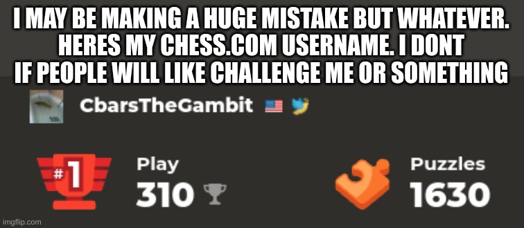 chess | I MAY BE MAKING A HUGE MISTAKE BUT WHATEVER.
HERES MY CHESS.COM USERNAME. I DONT IF PEOPLE WILL LIKE CHALLENGE ME OR SOMETHING | image tagged in chess,leaks,mudkip | made w/ Imgflip meme maker