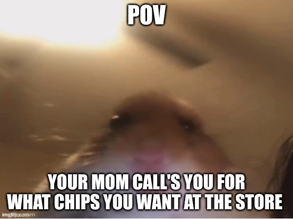 yes | POV; YOUR MOM CALL'S YOU FOR WHAT CHIPS YOU WANT AT THE STORE | image tagged in yes | made w/ Imgflip meme maker